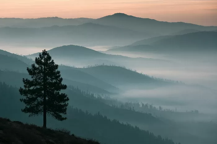 Silent Dawn