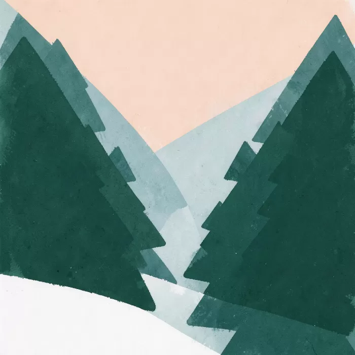 Spruce Dawn