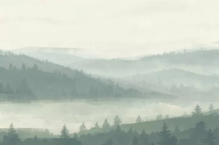 Foggy Hills