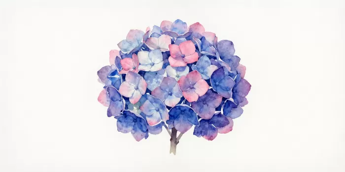 Violet Wash