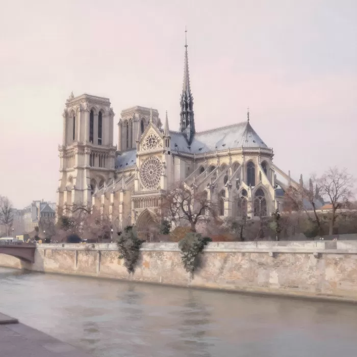 Paris Cathedral