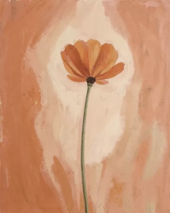 Marigold Field
