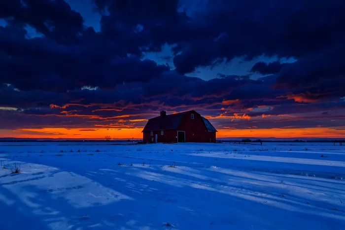 Indigo Field