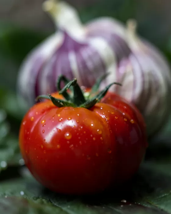 Heirloom Garlic