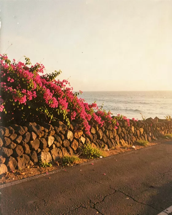 Island Haze