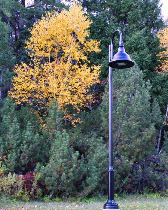 Fall In Corner Brook - Newfoundland art print