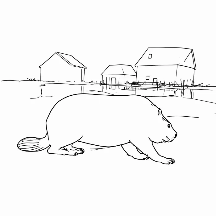Millpond Beaver