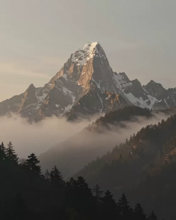 Grand Ascent
