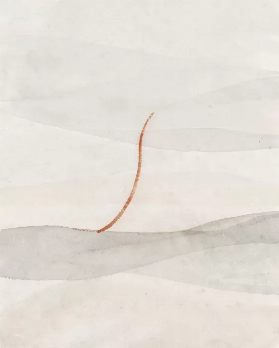 Shell Curve