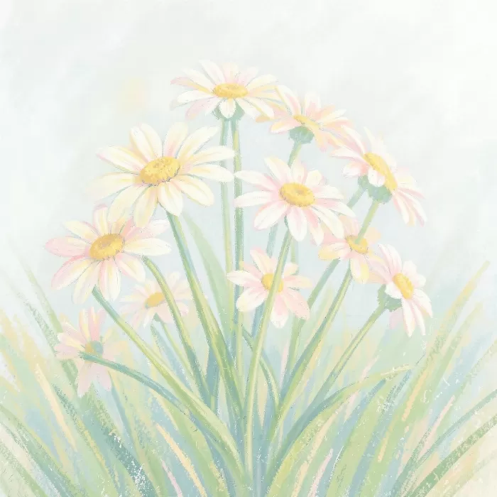 Meadow Daisies