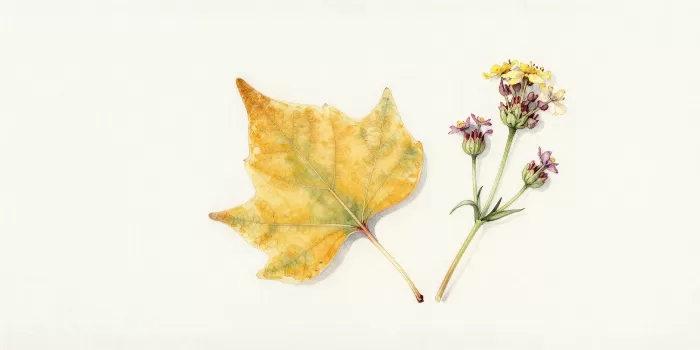 Autumn Sprig