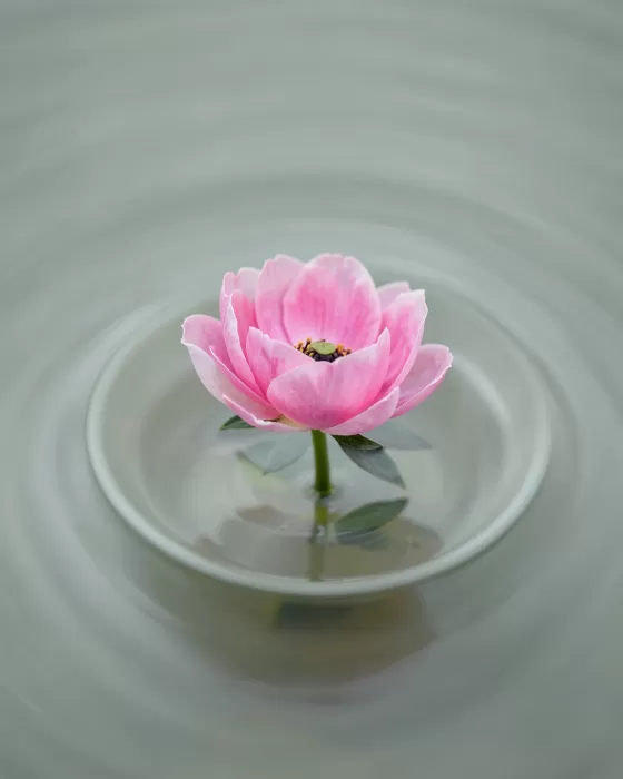 Liquid Calm