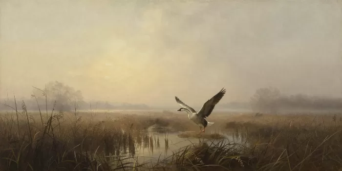 Wetland Rise