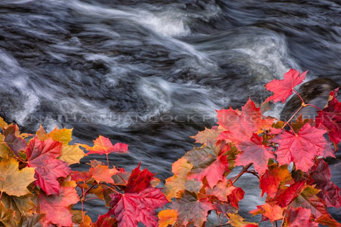 Over Water - Newfoundland art print