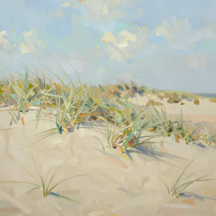 Rehoboth Dunes