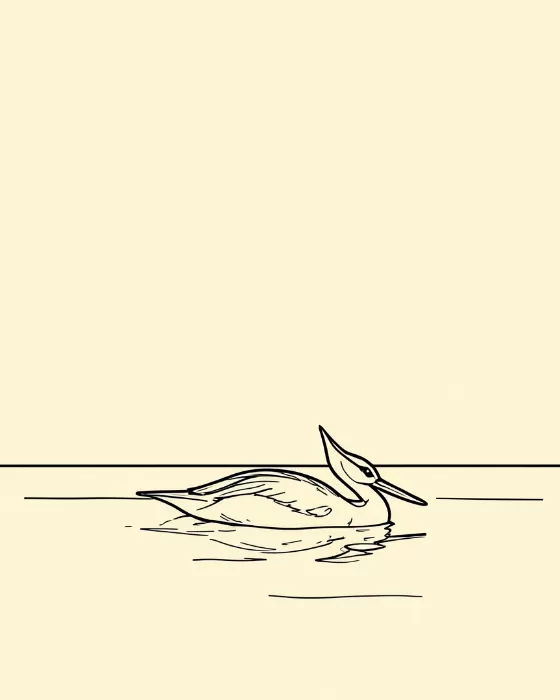 Loon Line
