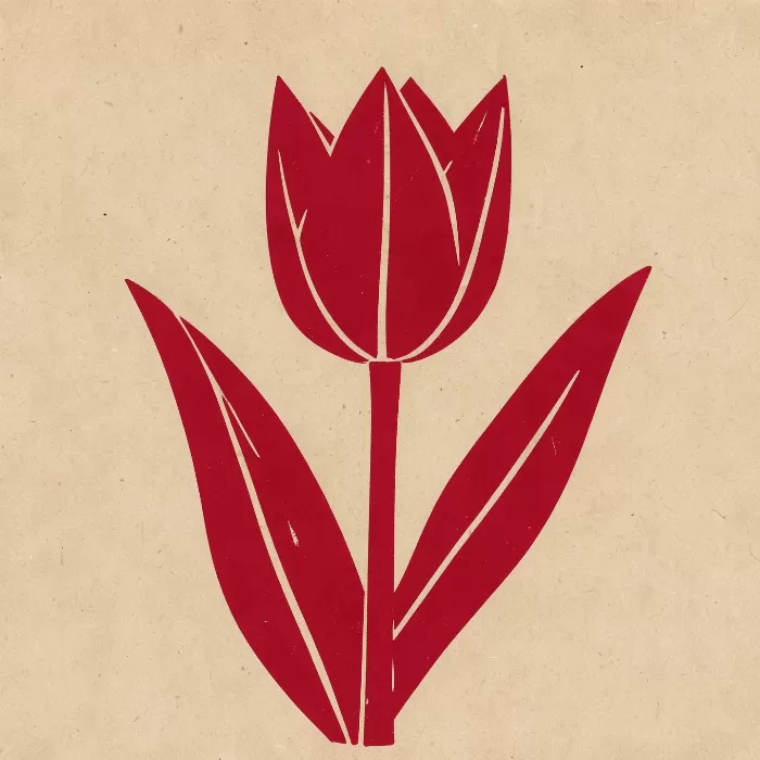 Tulip Cut