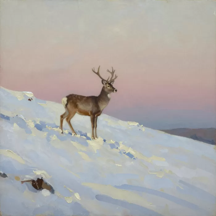 Snowbound Stag