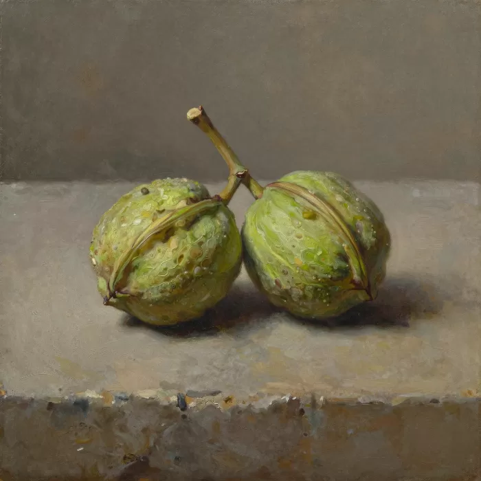 Walnut Branch