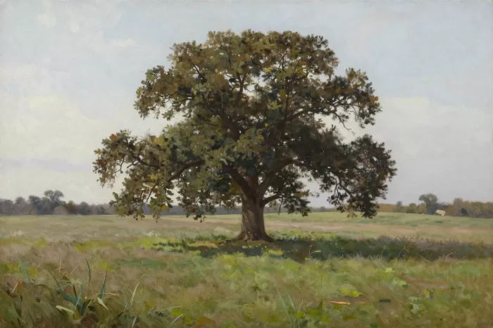 Standing Oak