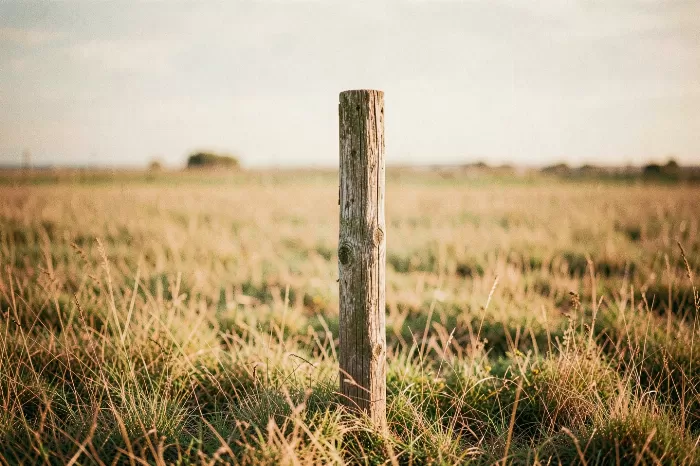 Golden Post