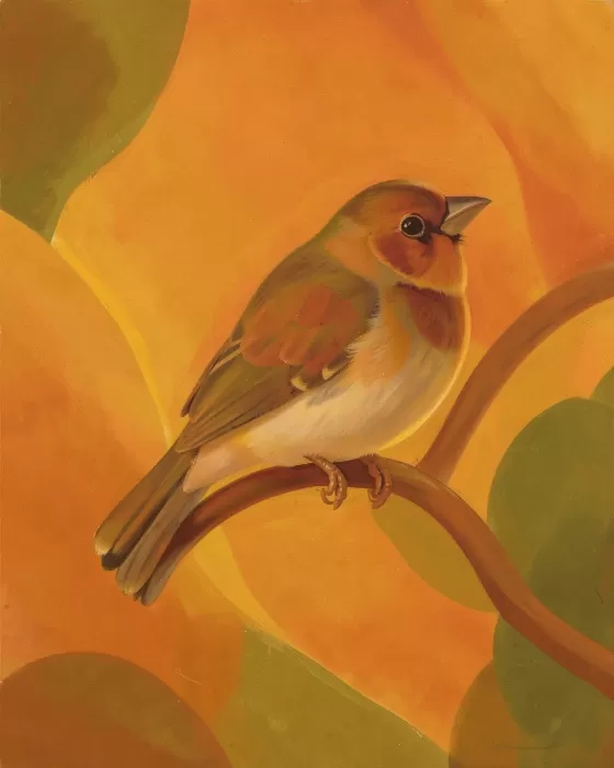 Retro Finch
