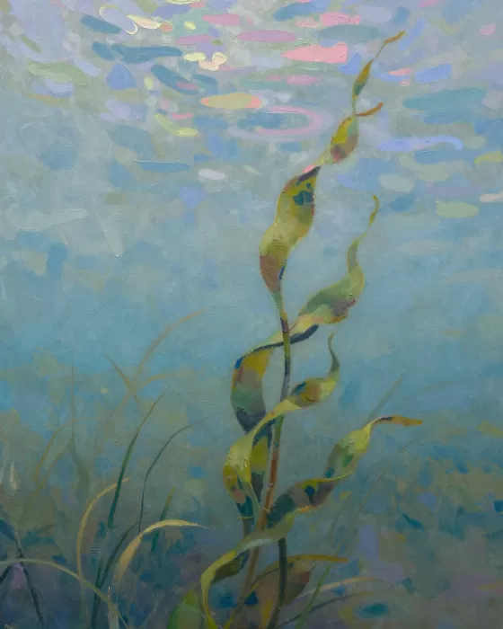 Kelp Meadows