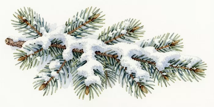 Alpine Branch