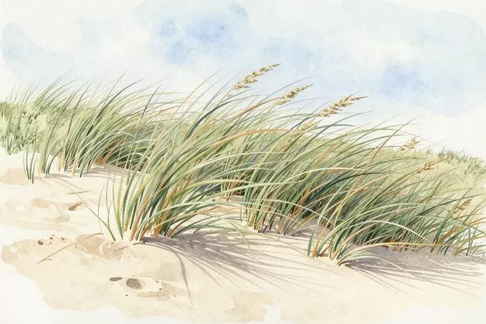 Dune Breeze