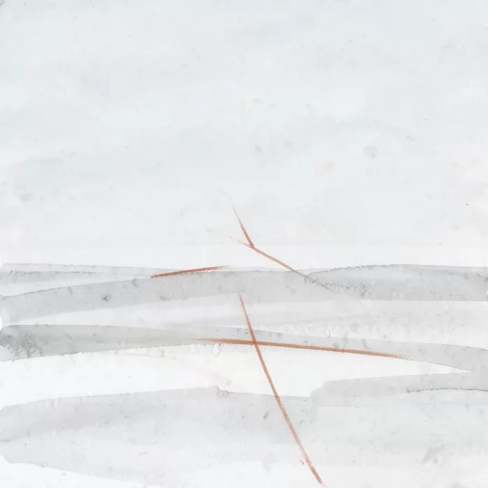 Winter Field