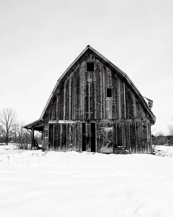 Silent Barn