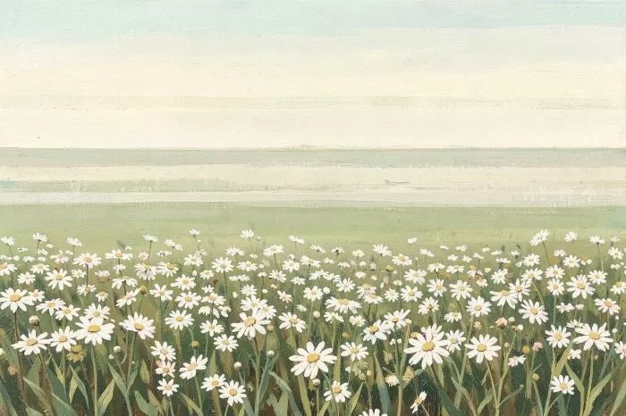 Daisy Field II