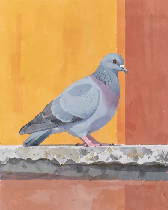 Dove Rest