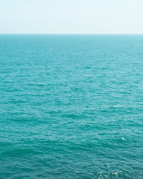 Luminous Coast