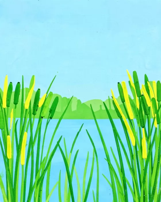 Cattail Morning