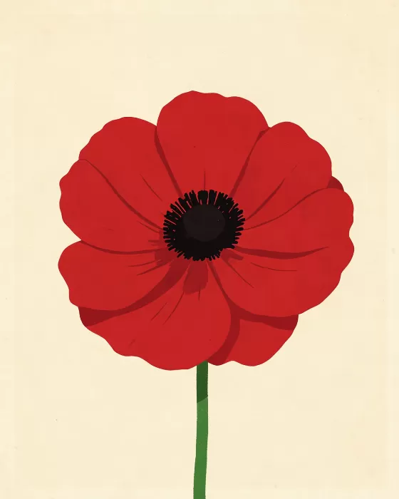 Red Anemone