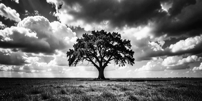 Dramatic Plain