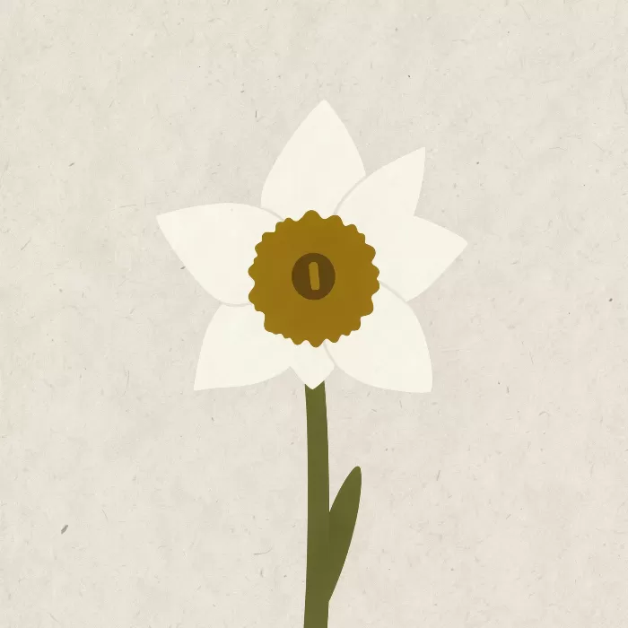 Daffodil Flat