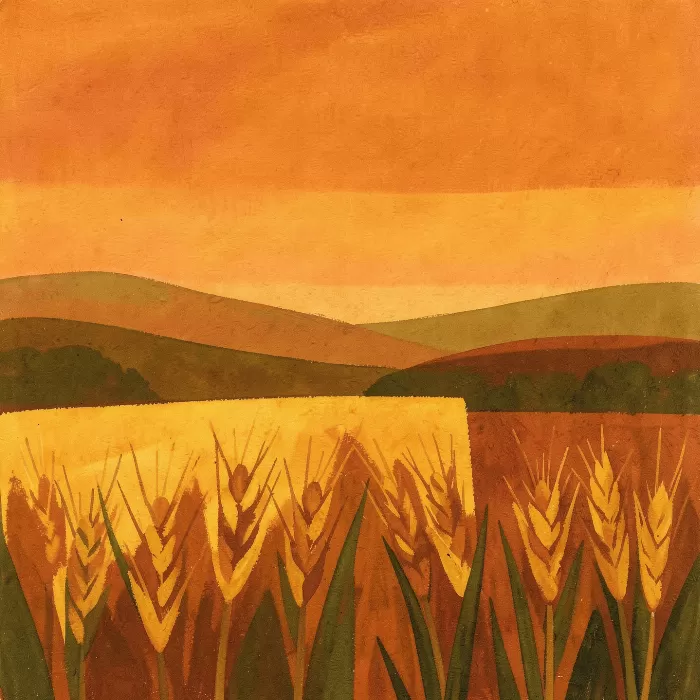 Harvest Gold II