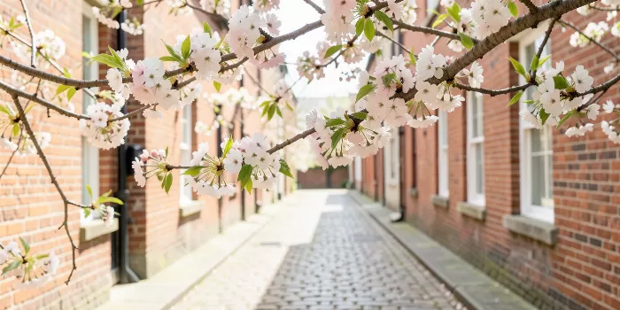 Cobblestone Bloom
