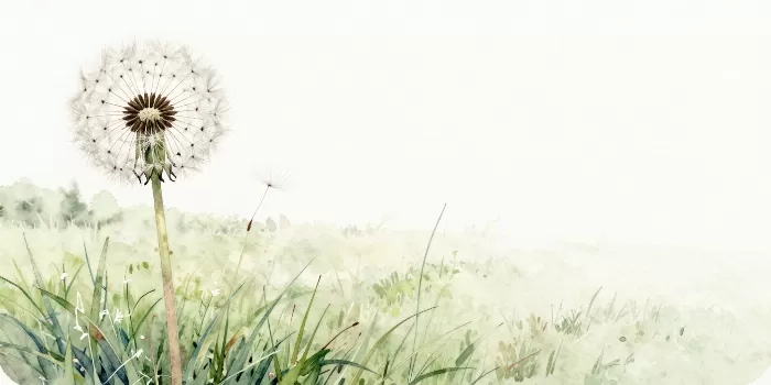 Dandelion Still