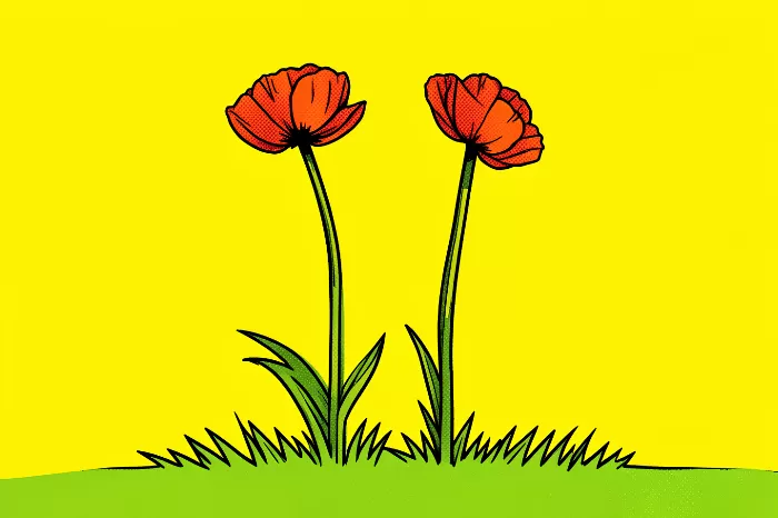 Twin Poppies