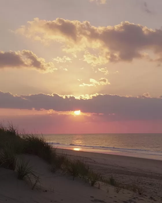 Delaware Dusk