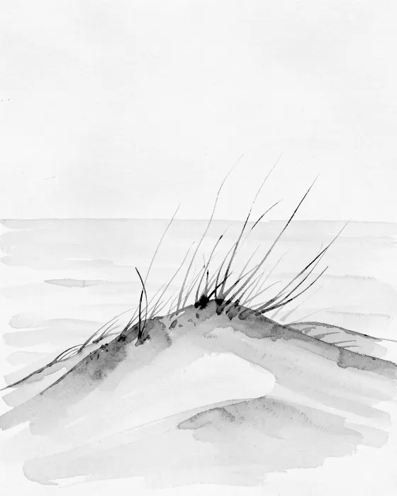 Dune Whisper