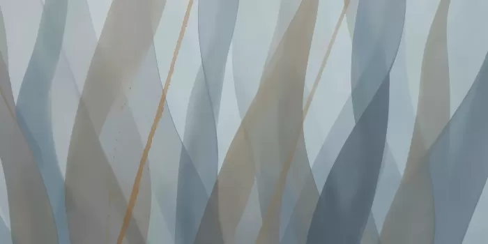 Kelp Horizon
