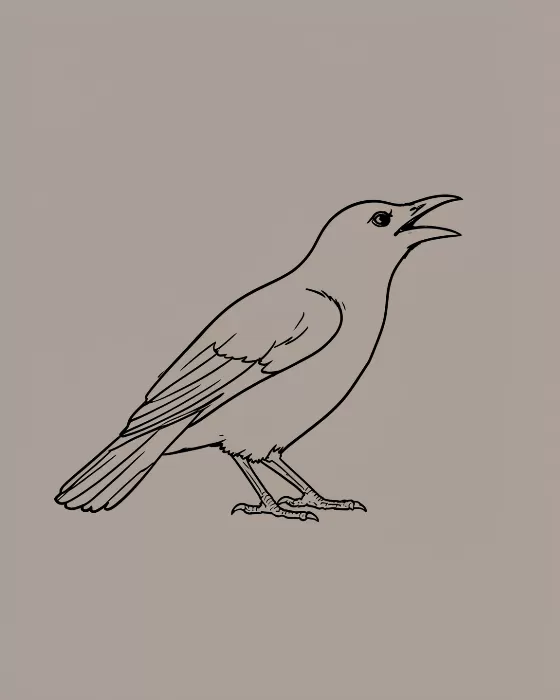 Crow Call