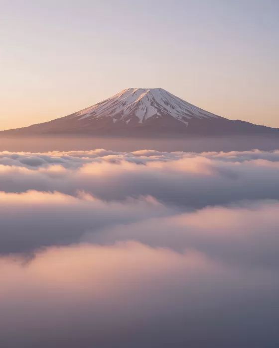 Rose Gold Summit