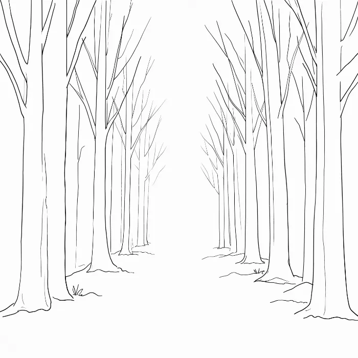 Winter Corridor