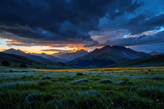 Dewfall Dawn