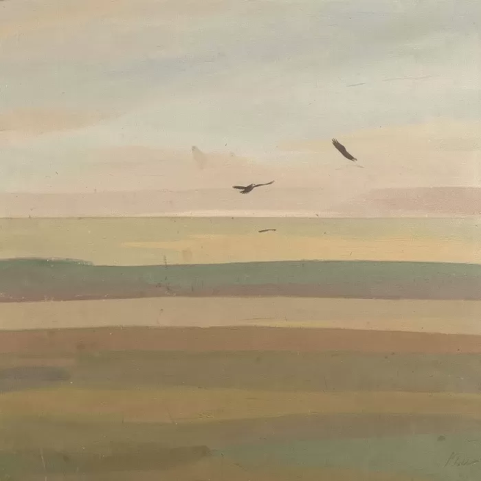 Sage Fields
